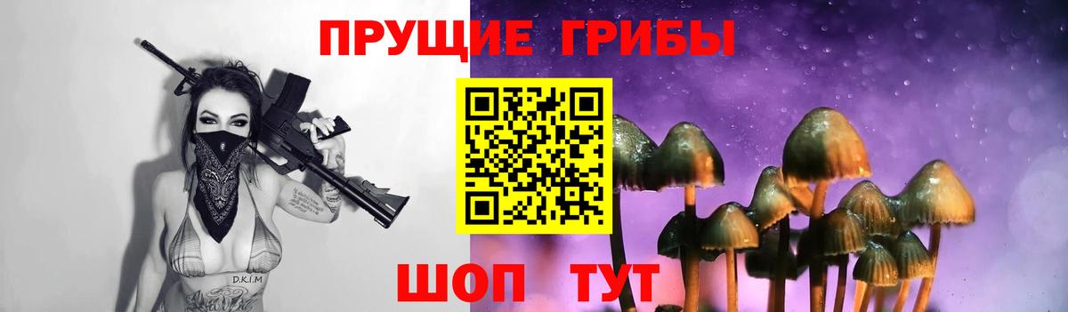 Псилоцибиновые грибы Psilocybine cubensis Фрязино